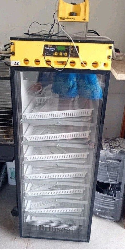 Brinsea Ova-Easy Advance 580 broedmachine