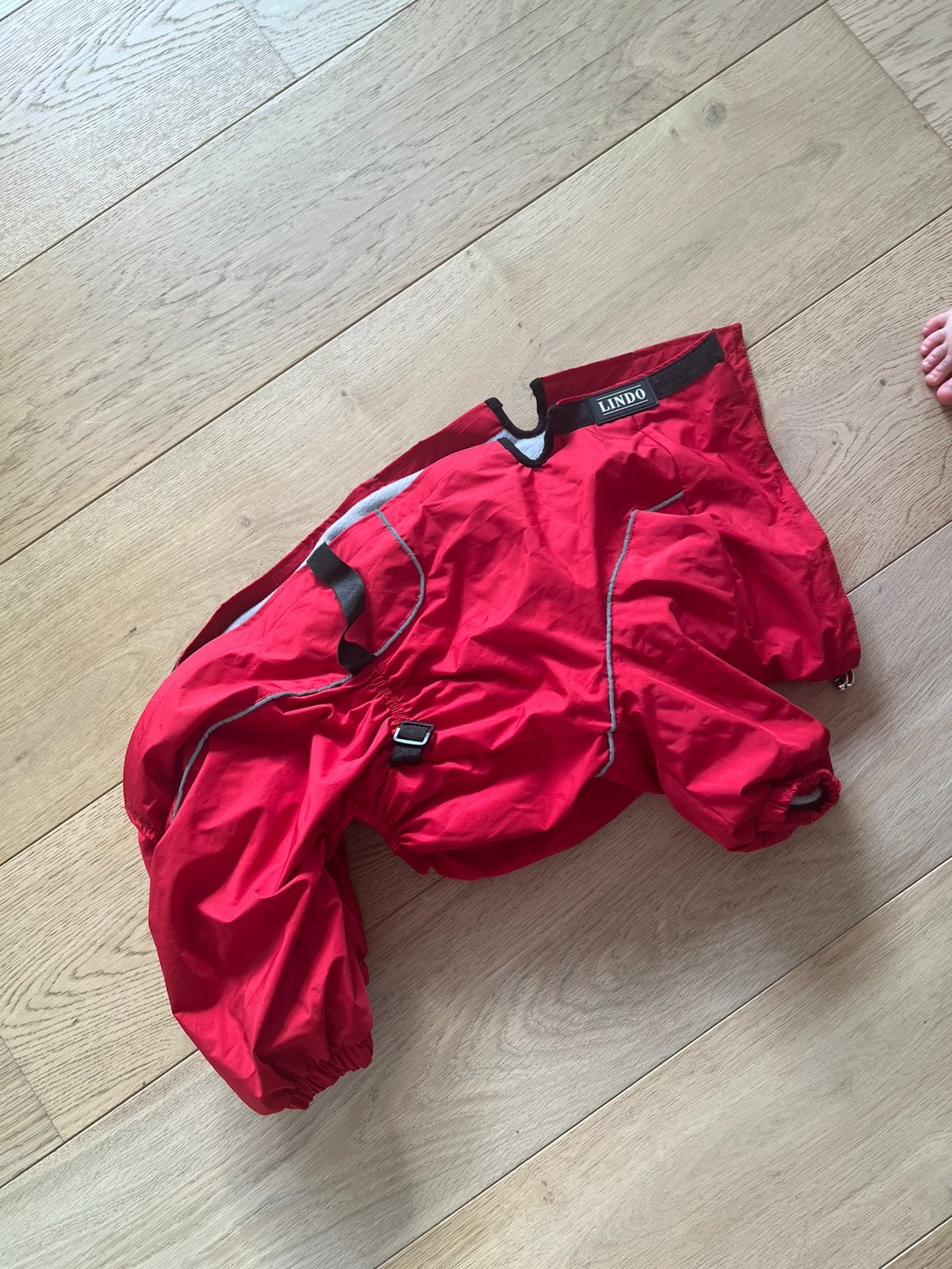 Lindo Quattro Yağmurluk — hondenregenjas, Dieren en Toebehoren, Hondenkleding, Ophalen, Zo goed als nieuw, Hondenregenjas