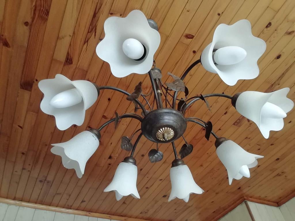 Luster, Huis en Inrichting, Lampen | Kroonluchters, Ophalen