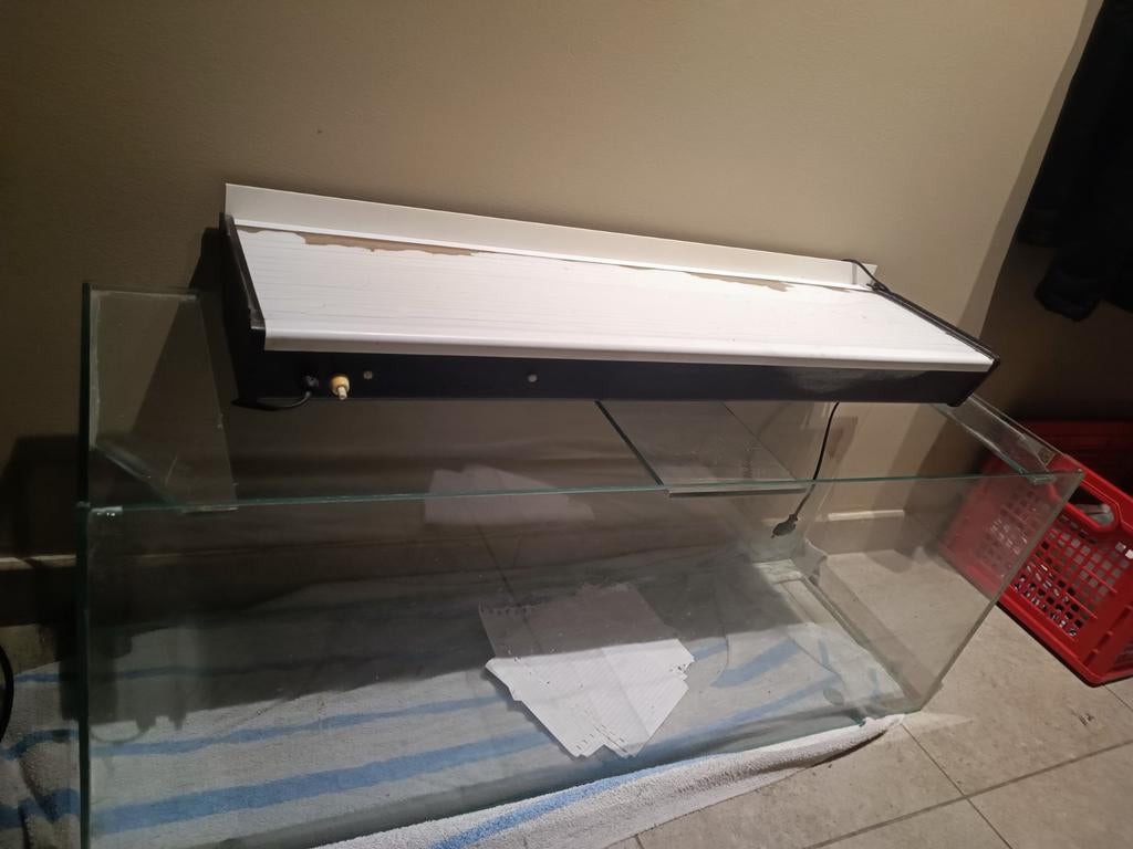 Aquarium voor knaagdieren, Enlèvement