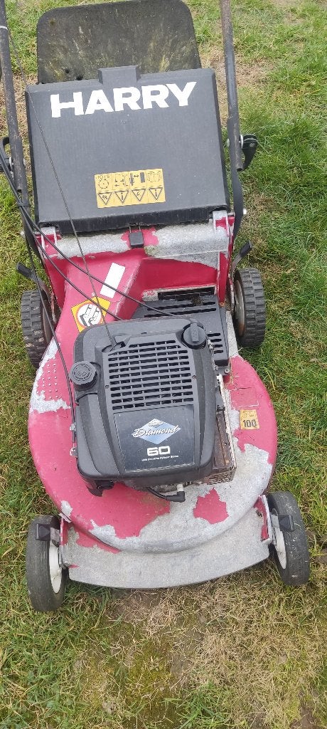 Tondeuse à gazon Harry, autotracteur avec butée rotative, Enlèvement, Utilisé