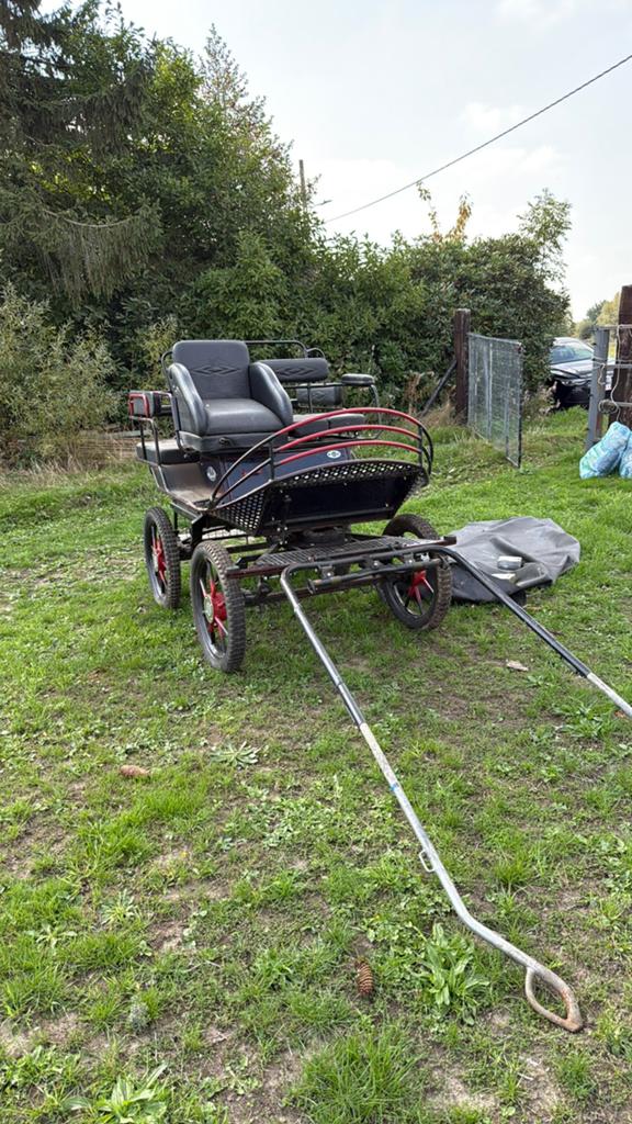 Koets in top staat!, Zo goed als nieuw, Marathonwagen, Paard