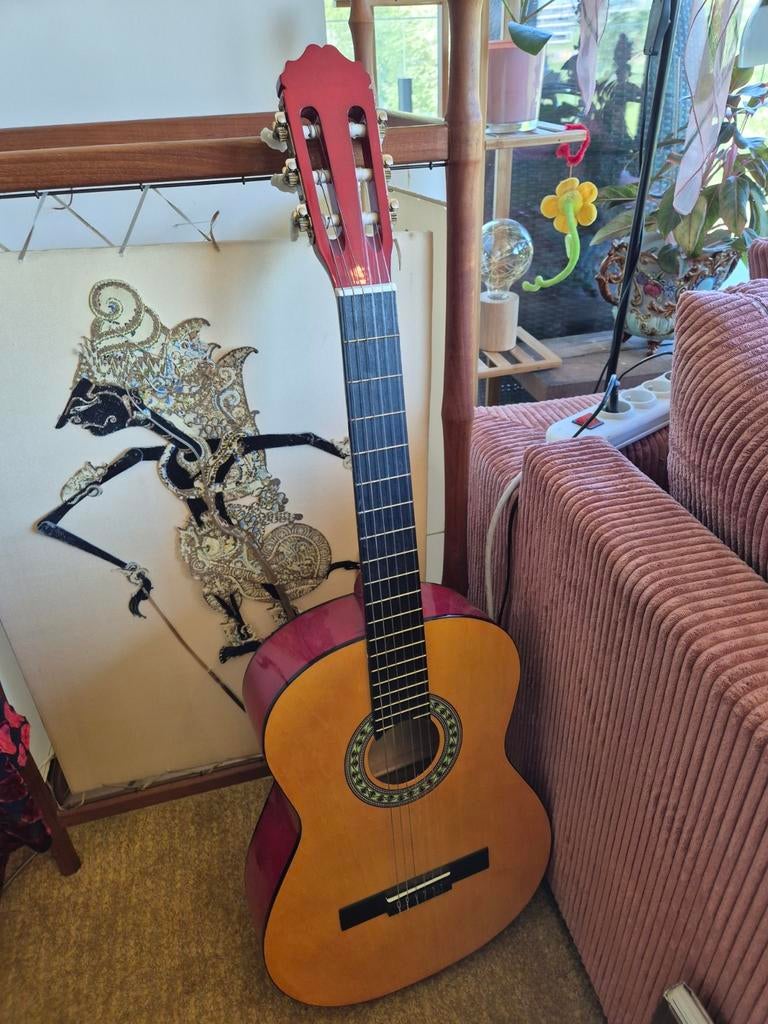 Gitaar te koop, Ophalen