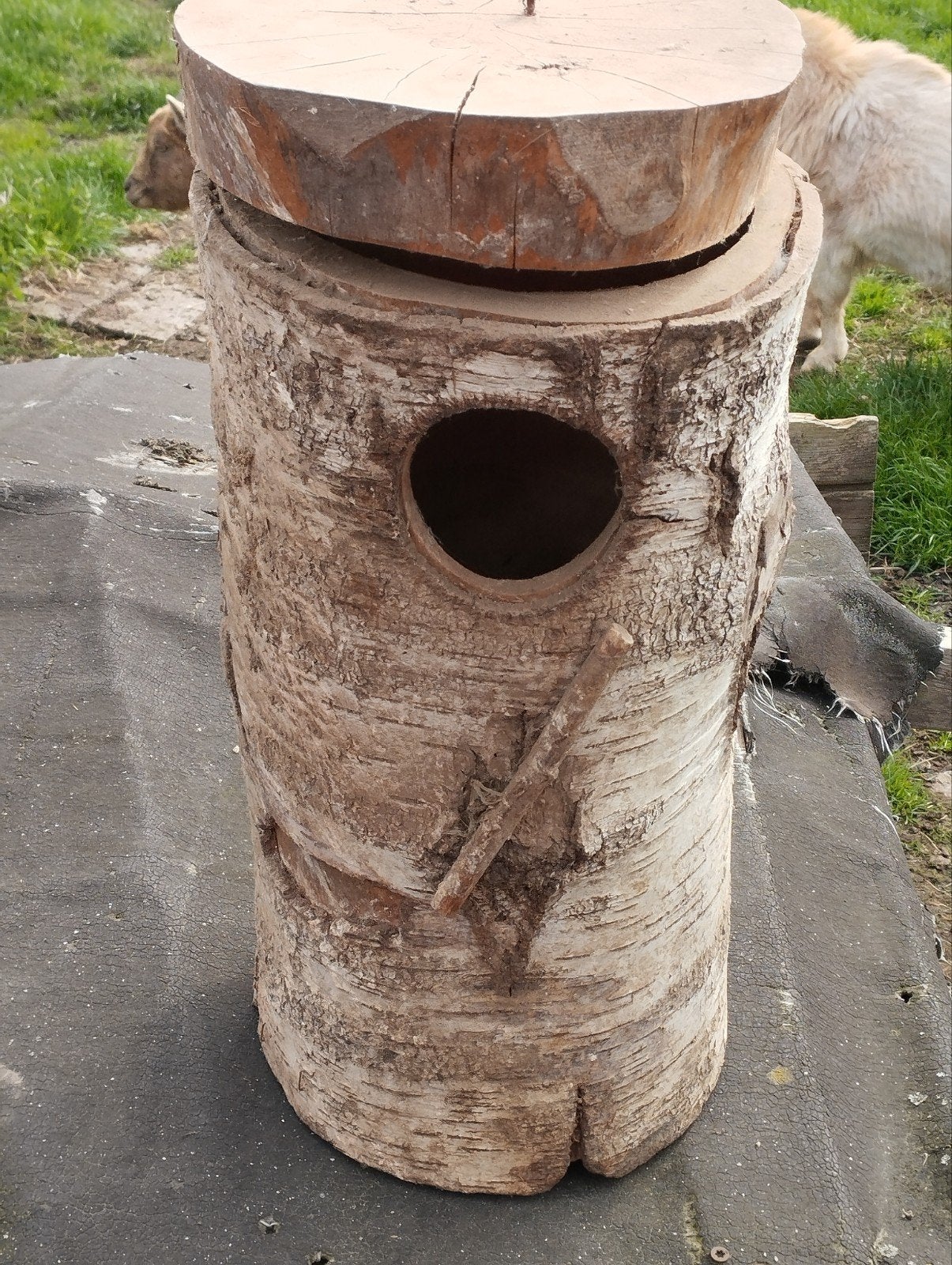 Grote broed blok