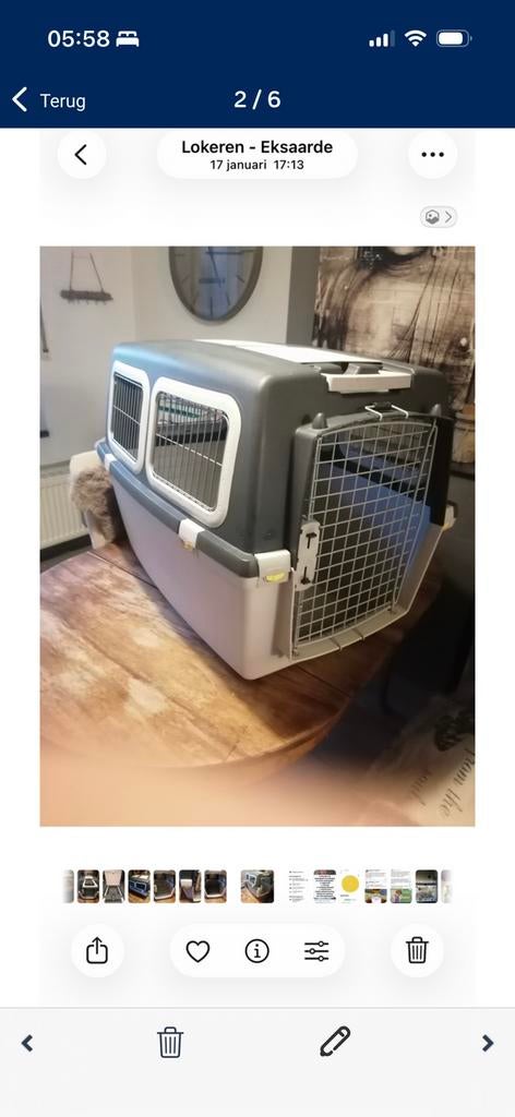 Kwalitatieve stevige transportbox voor hond /kat, Ophalen of Verzenden, Zo goed als nieuw