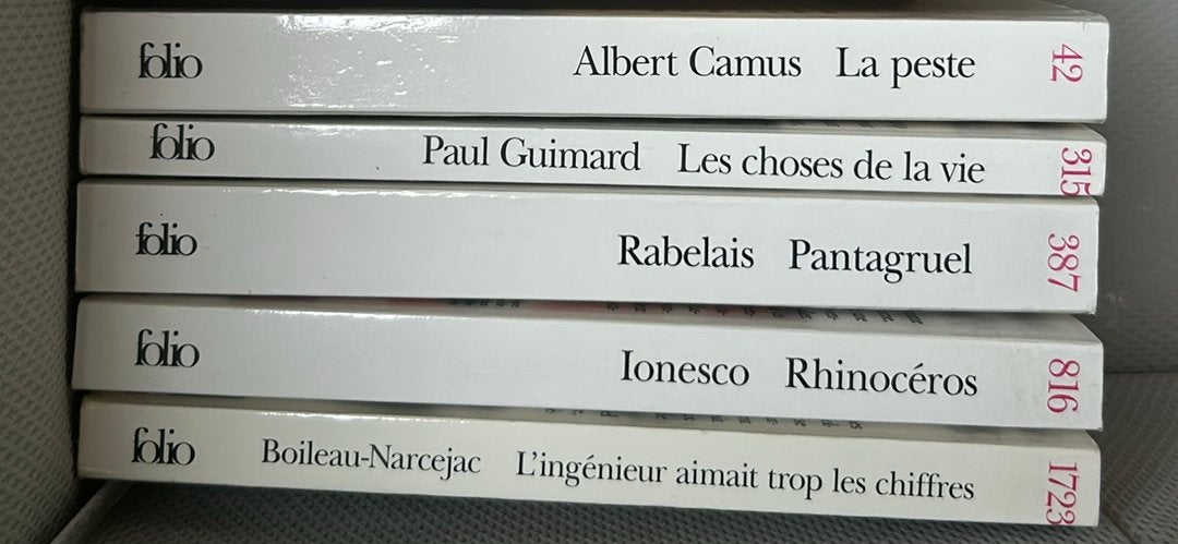 Franse romans - Proust, Zola, Stendhal, Camus, Deforges, Boeken, Ophalen of Verzenden, Gelezen