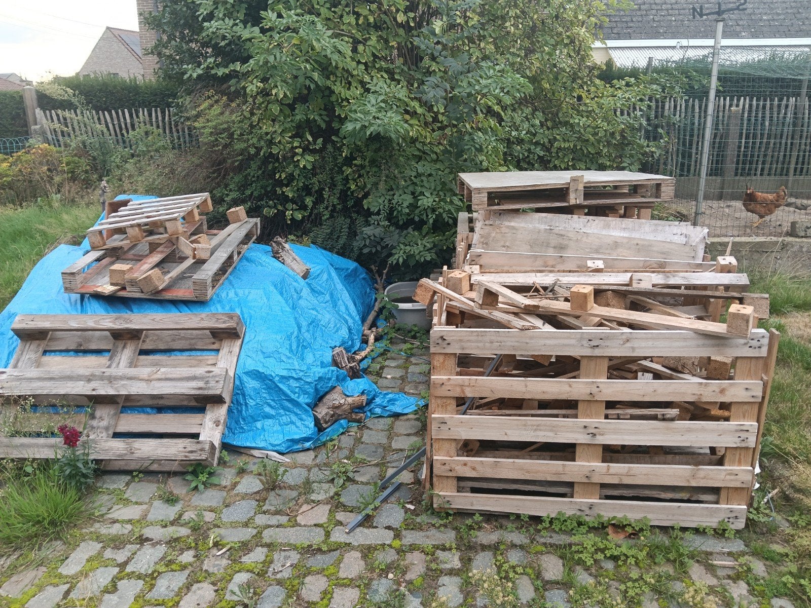 gratis brandhout en palletten, Tuin en Terras, Ophalen