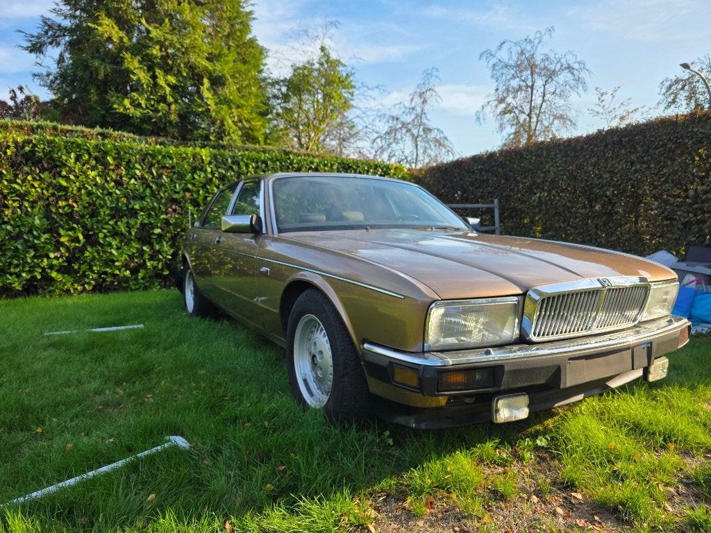 Jaguar XJ40, Autos, Cuir, Achat, Beige, 2900 cm³