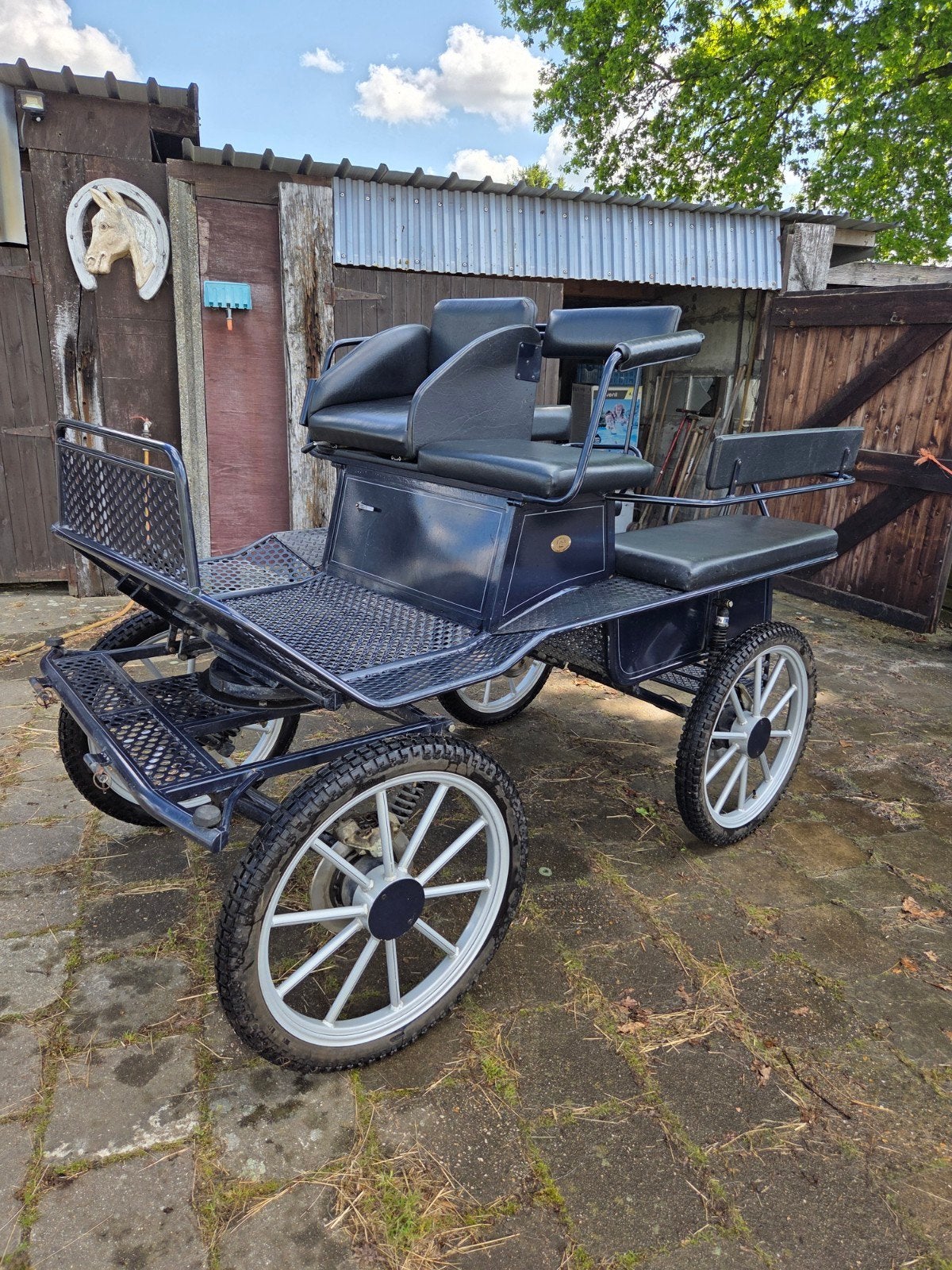 Hans van der Mee koets, Dieren en Toebehoren, Gebruikt, Paard of Pony