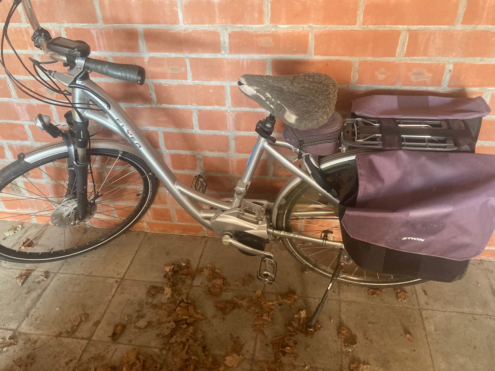 Damesfiets Flyer, Ophalen, Overige merken