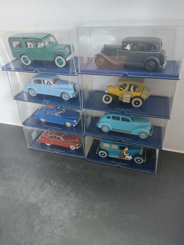 Tintin