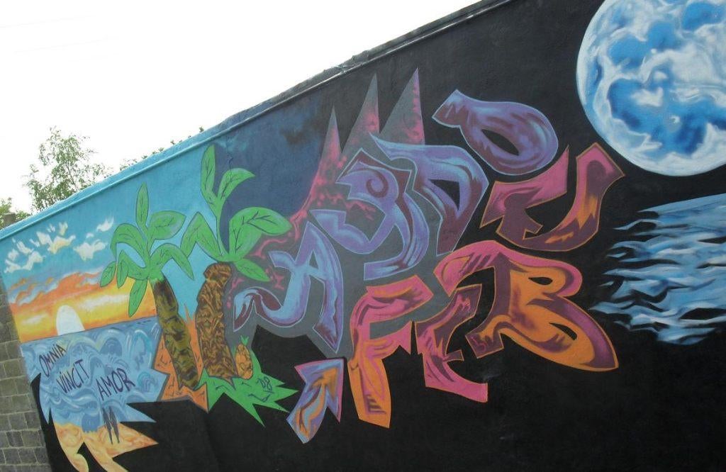Heb je saaie tuinmuren,graffiti stijl, Tuin en Terras, Ophalen, Zo goed als nieuw, Abstract beeld