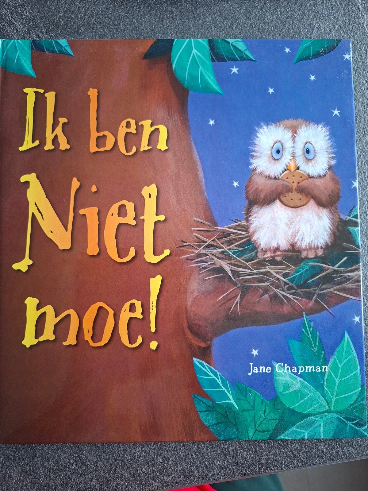 Jane Chapman - Ik ben niet moe, Enlèvement ou Envoi, Comme neuf, Jane Chapman, Livre d'images