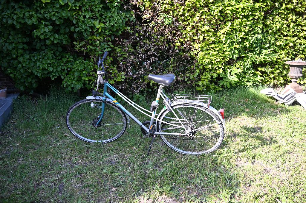 Fiets Gazelle dames, Fietsen en Brommers, Fietsen | Dames | Damesfietsen, Ophalen, Gebruikt, Velgrem, 47 tot 50 cm