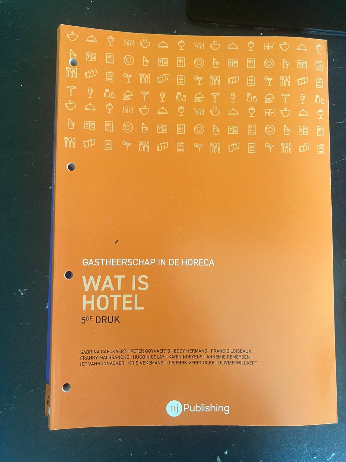 Gastheerschap in de horeca, Wat is Hotel, 5de druk, Livres, Enlèvement, Comme neuf, Autres matières, Karin Noeyens; Sabrina Caeckaert; Olivier Willaert