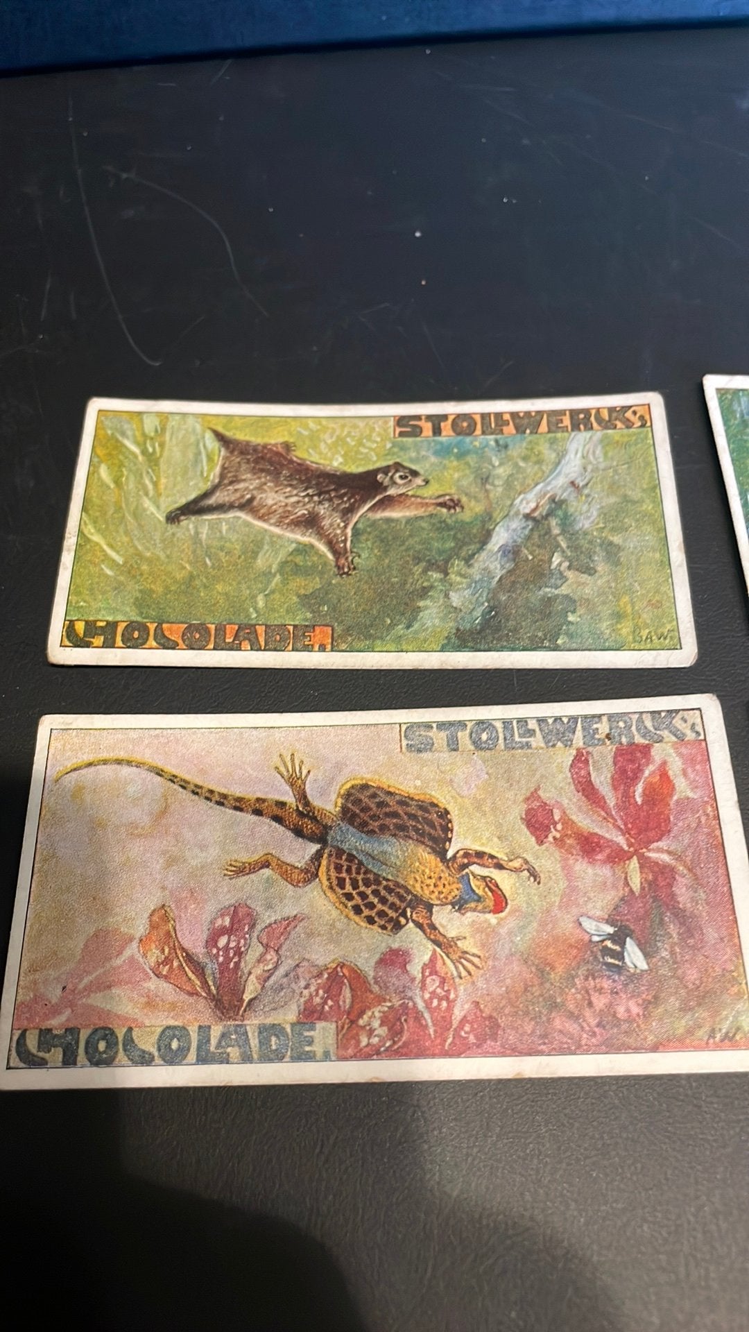 Stollwerck chromo groep 26(x3a), Verzamelen, Gebruikt, Ophalen of Verzenden, 1940 tot 1960, Dier