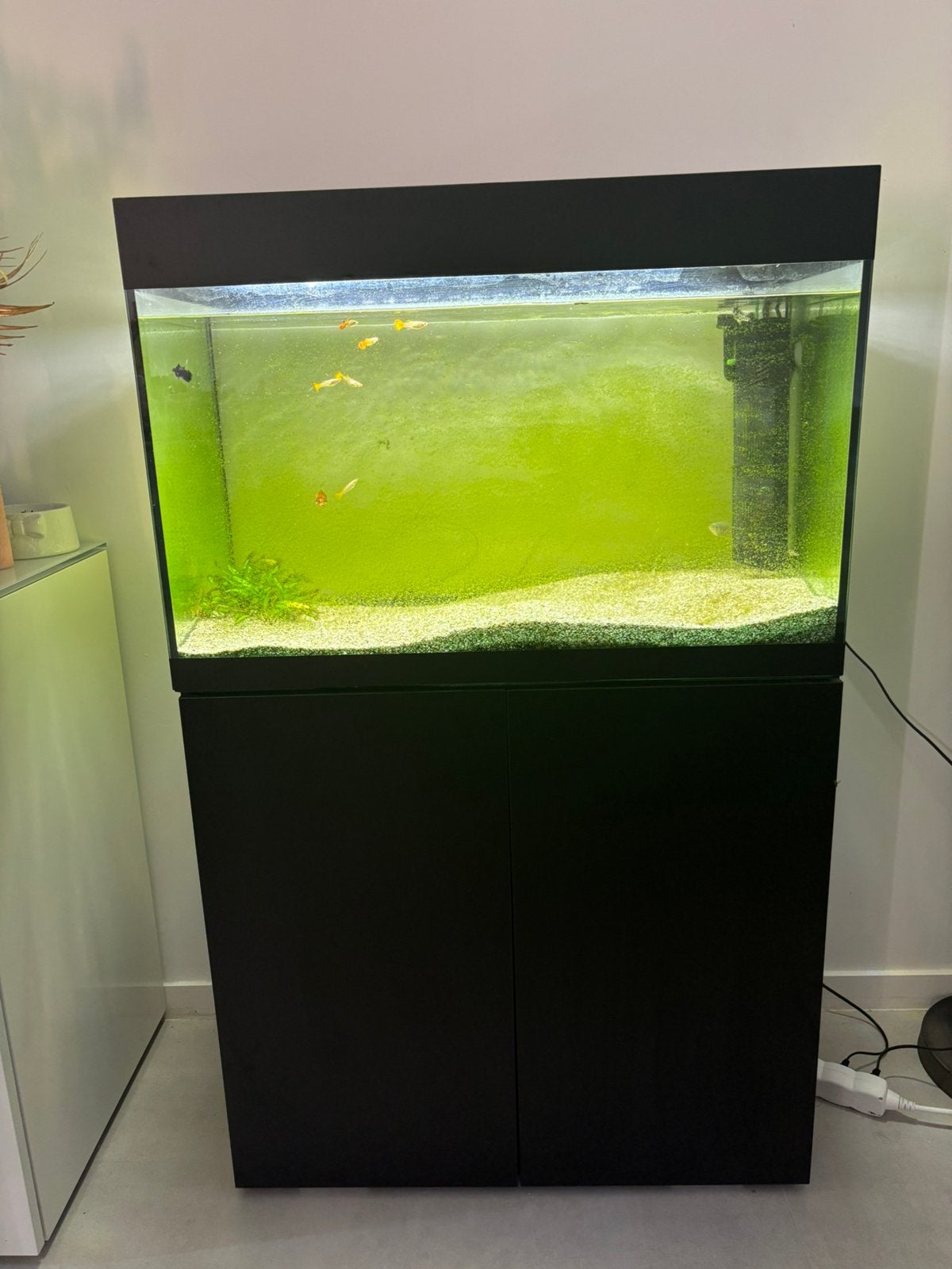 Aquarium te koop met filter en toebehoren, Ophalen, Zo goed als nieuw, Filter