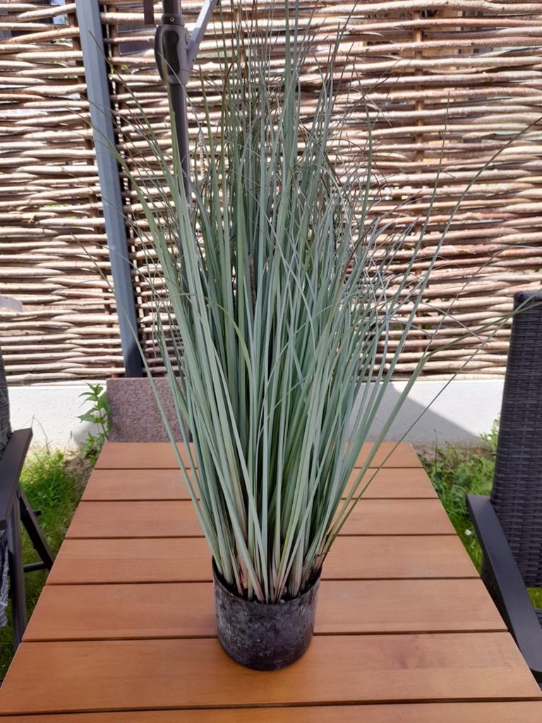 Kunstplanten. 9000Gent, Enlèvement