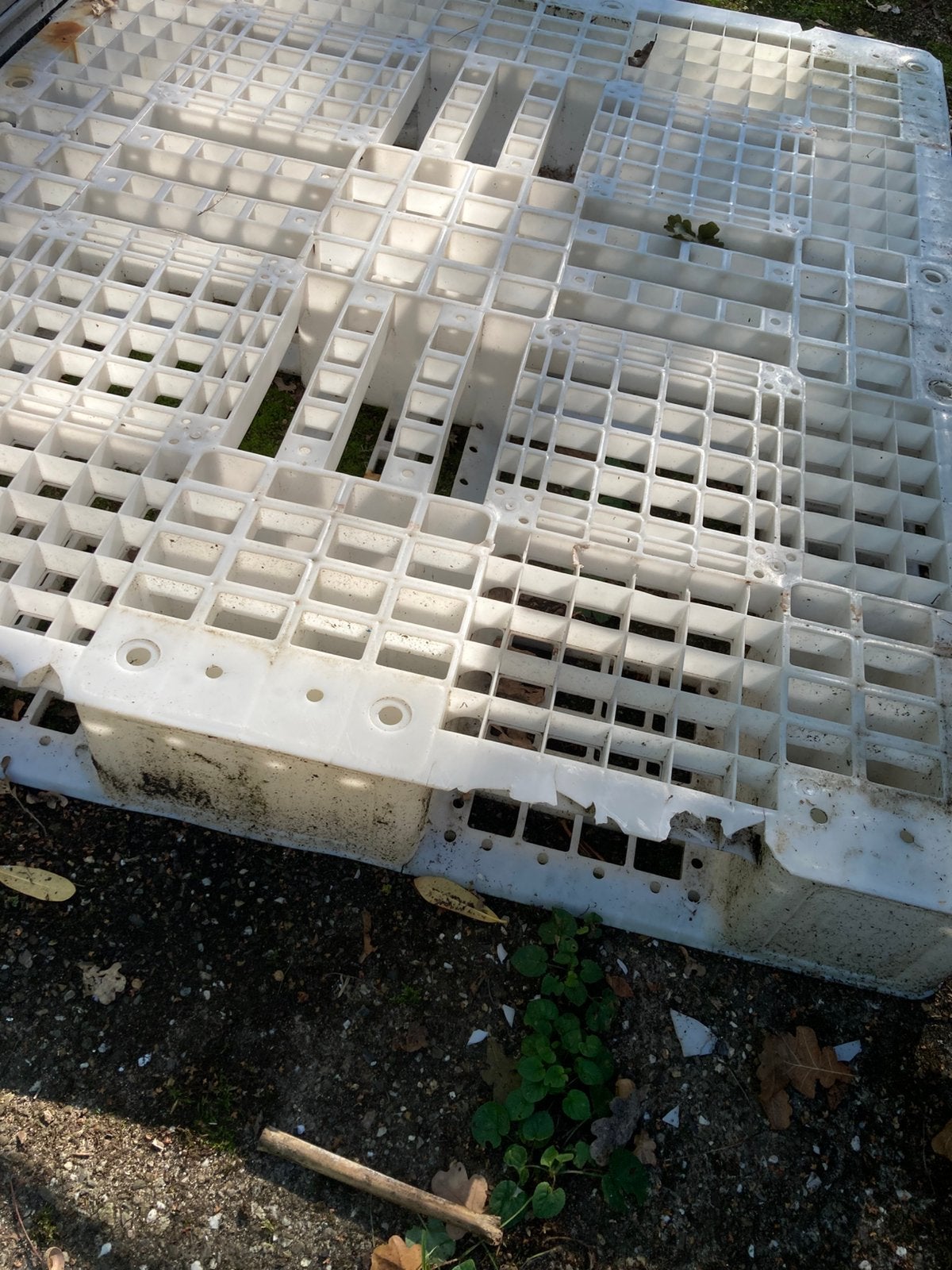 Kunststof pallet. Verschillende modellen., Ophalen, Gebruikt