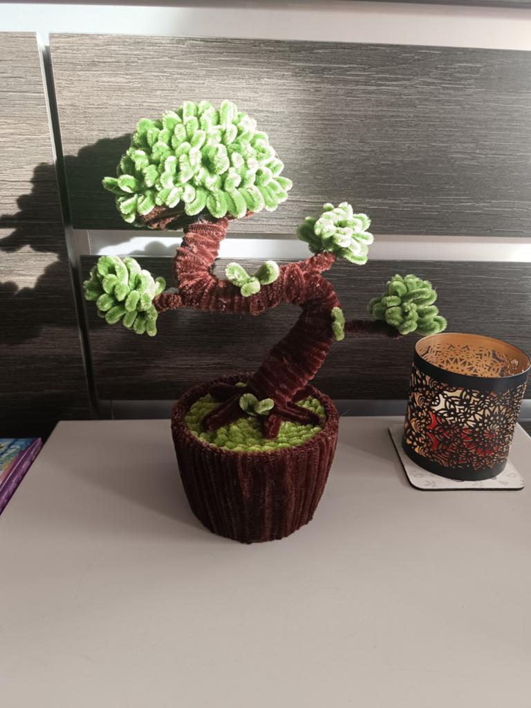 Bonsai, Maison & Meubles, Enlèvement ou Envoi