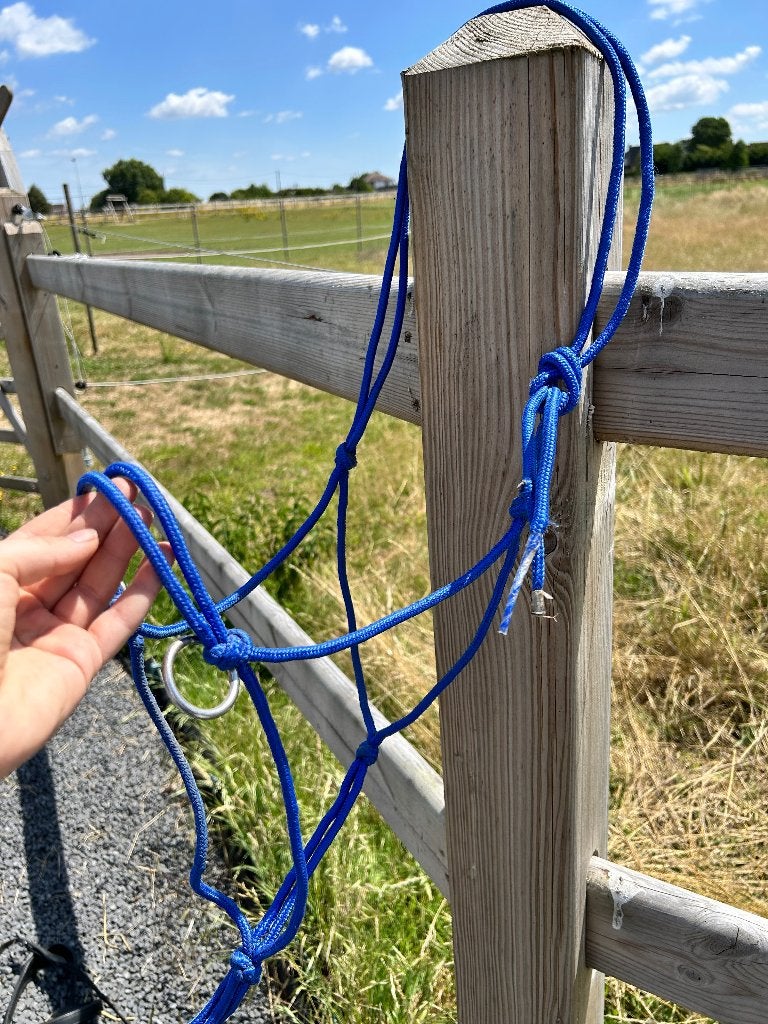 Touwhalster, Dieren en Toebehoren, Ophalen, Gebruikt, Blauw, Halster