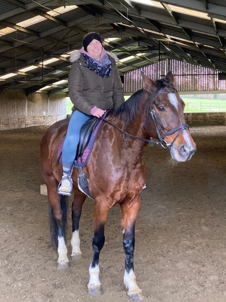 15 jarige bwp ruin, Dieren en Toebehoren, Paarden, Ruin, Niet van toepassing, 170 tot 175 cm, 11 jaar of ouder, Recreatiepaard