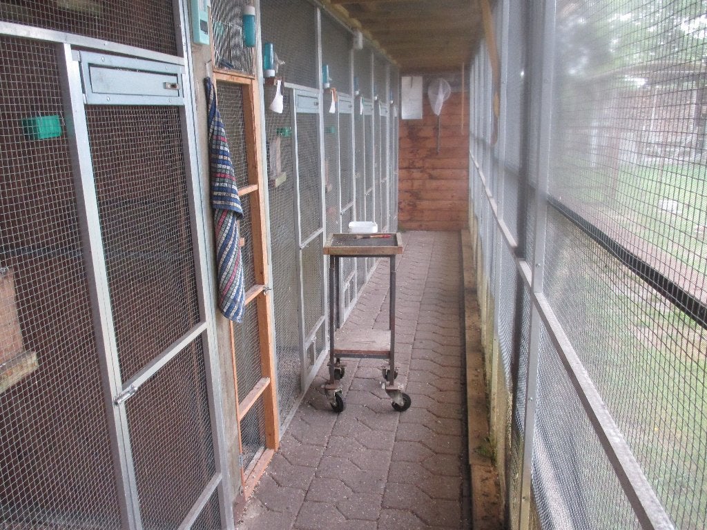 aluminium draadpanelen en kweekkooien, Dieren en Toebehoren, Ophalen, Zo goed als nieuw, Aluminium, Volière