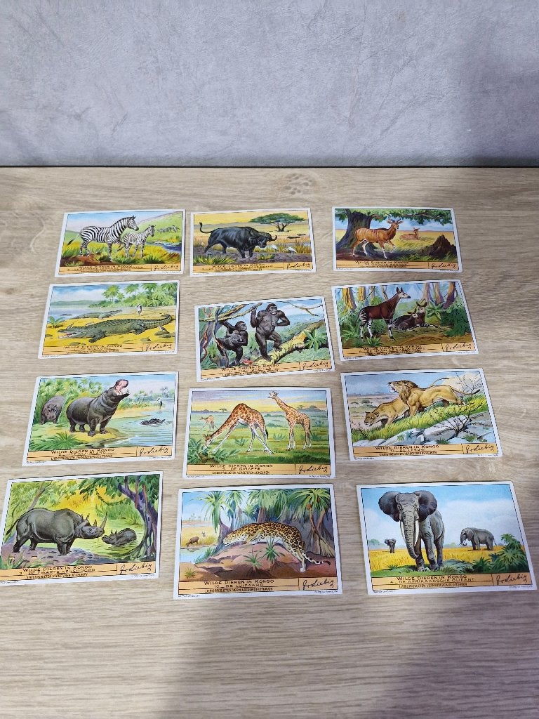 Dierenprenten uit Kongo ( Liebig), Livres, Livres d'images & Albums d'images, Enlèvement, Comme neuf, Livre d'images