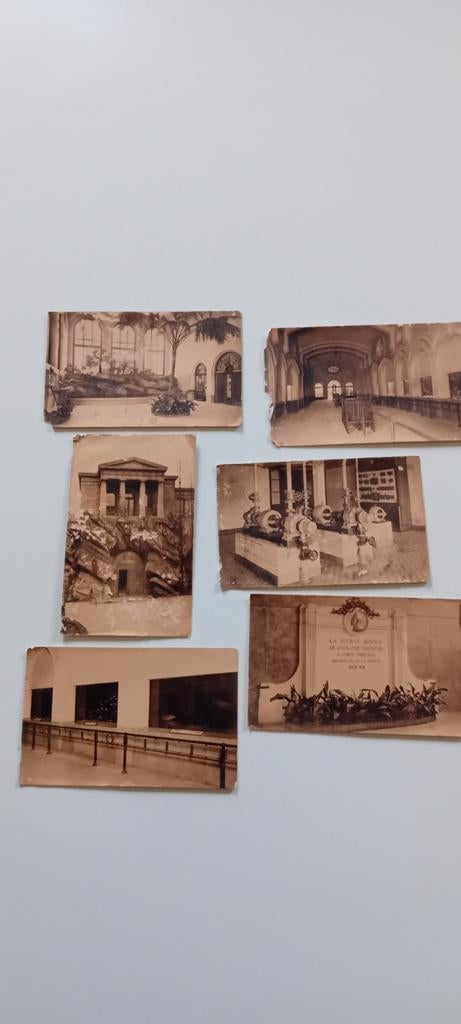 Oude prentkaarten "Zoo Antwerpen", Collections, Enlèvement ou Envoi, Photo