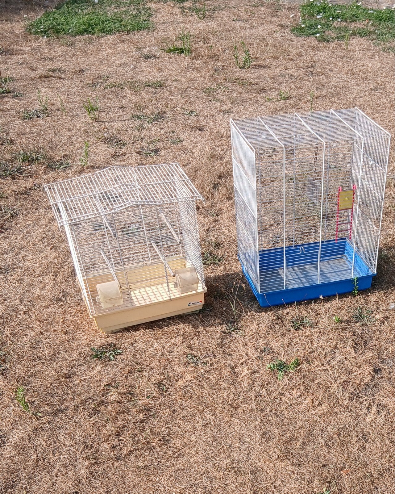 2 vogelkooien, Ophalen, Vogelkooi