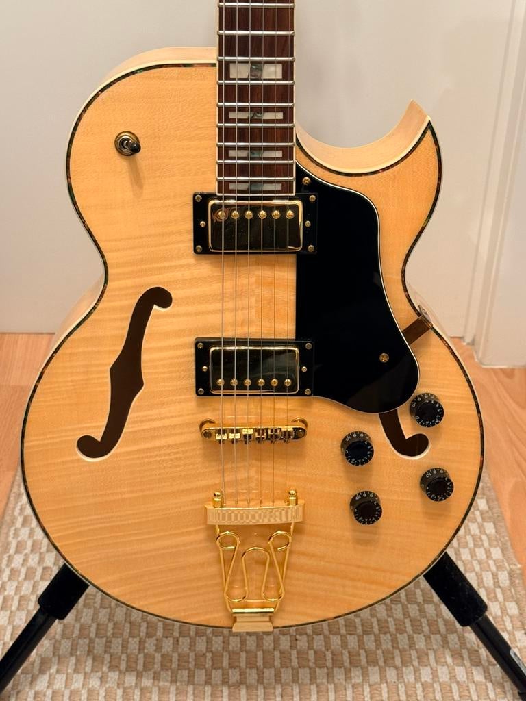 Fazley hollowbody western gitaar. Mint! Verlaagde prijs!, Ophalen, Zo goed als nieuw