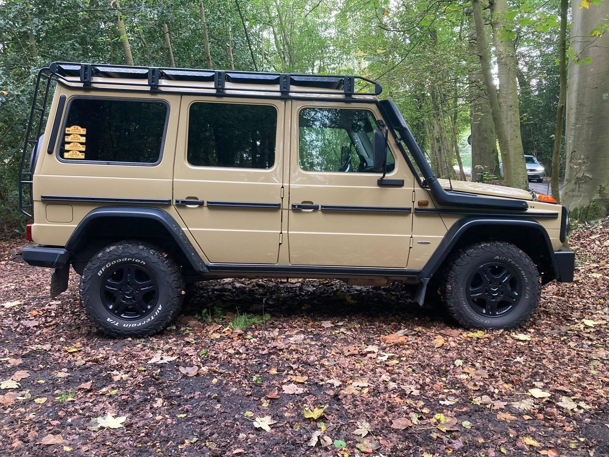 Mercedes-Benz G-Klasse 350 d + PROFFESSIONAL + LICHTE VRACHT, Autos, Argent ou Gris, Achat, 2987 cm³, Euro 6