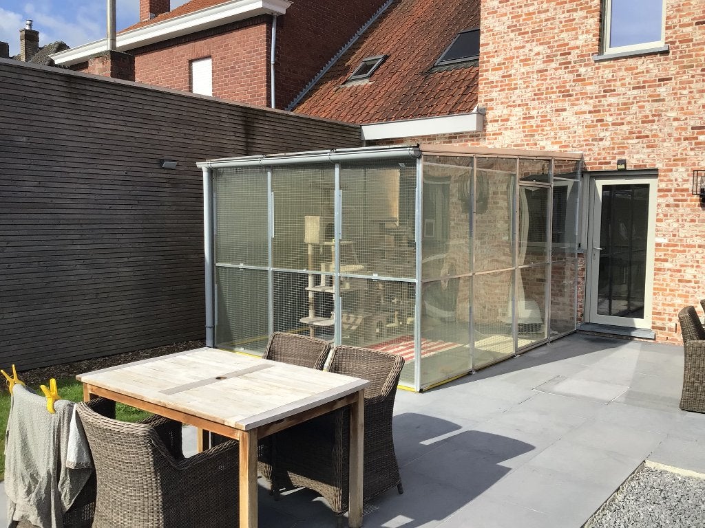 Kattenren, Dieren en Toebehoren, Katten-accessoires, Gebruikt, Ophalen
