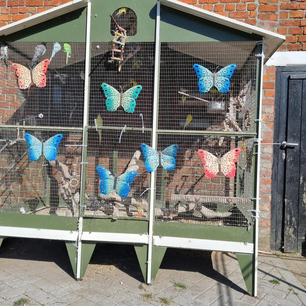 Volière sans oiseaux, Enlèvement, Utilisé, Métal, Volière