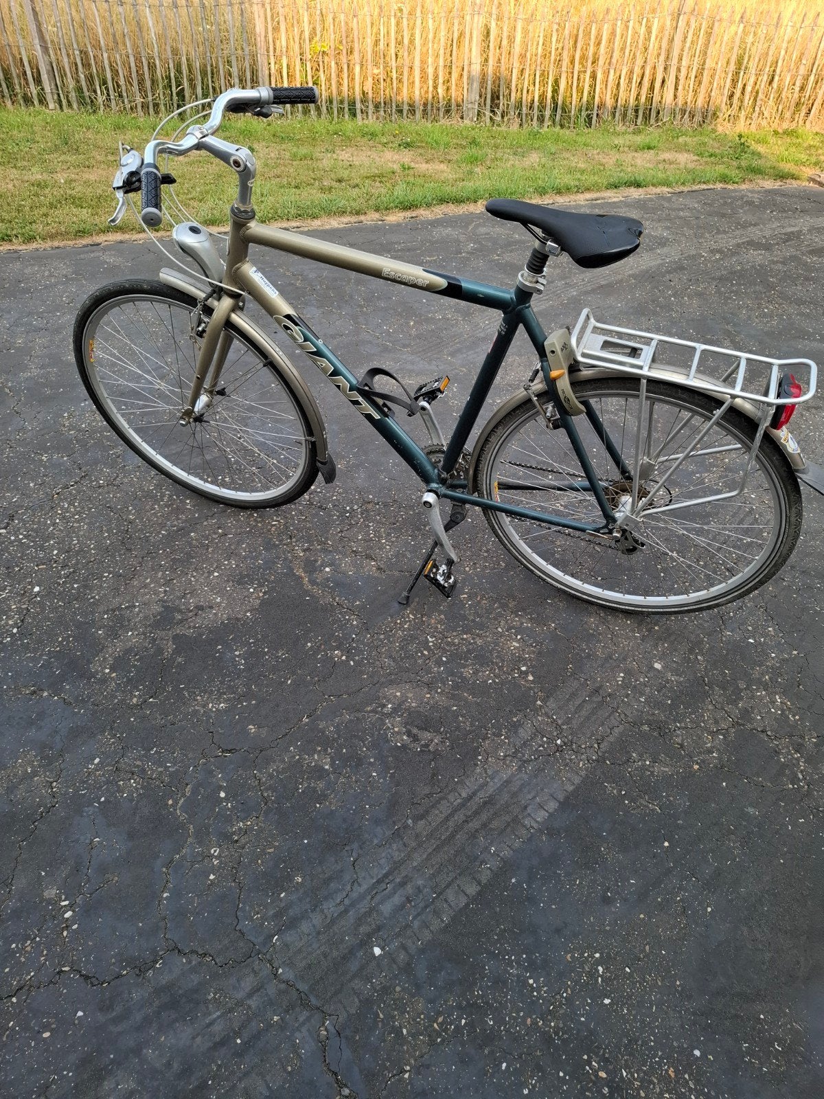 giant fiets, Fietsen en Brommers, Ophalen, Giant