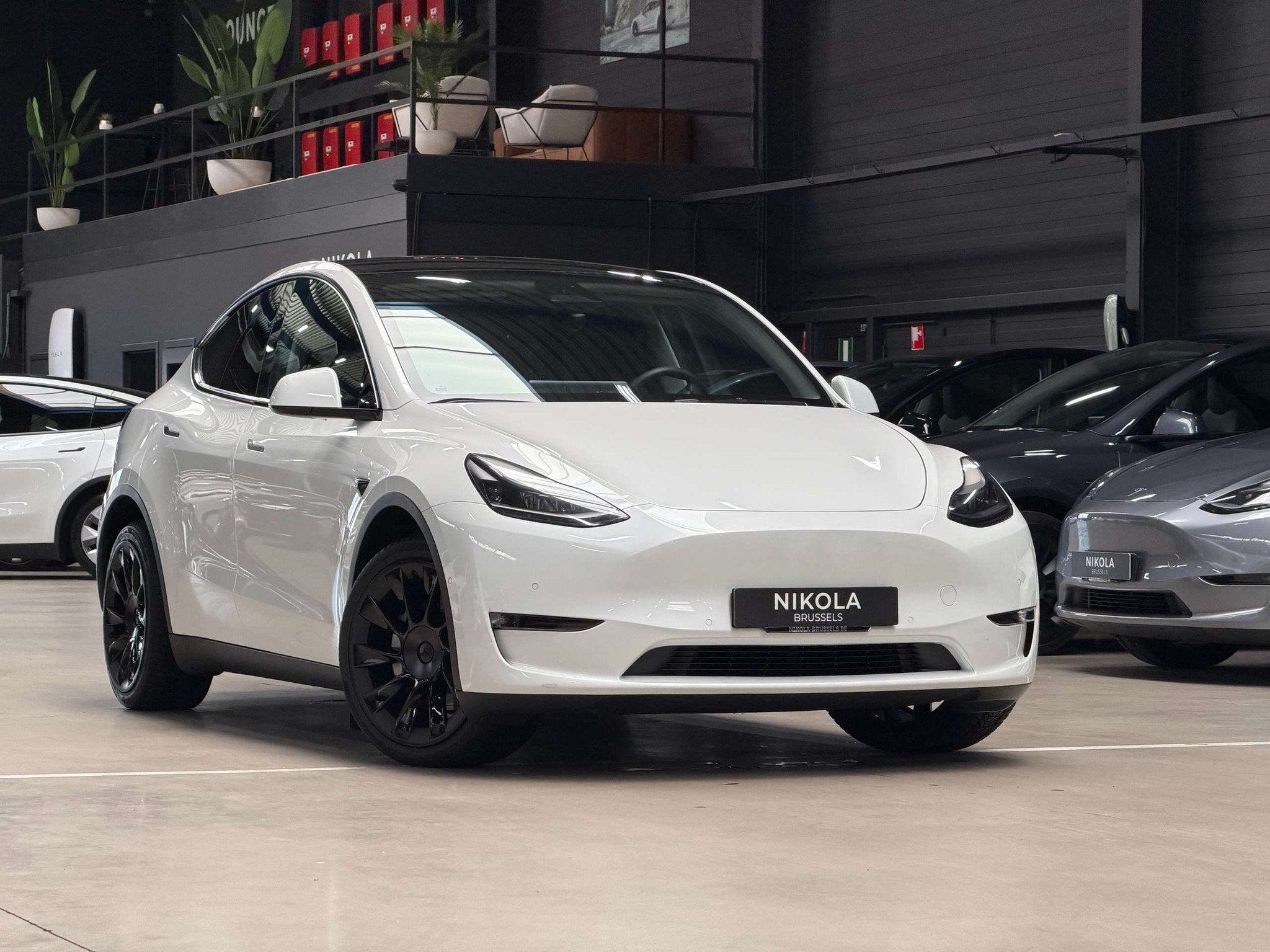 Tesla Model Y LONG RANGE - ALL WHEEL DRIVE - FULL PAINT PROT, Auto's, Tesla, Wit, 5 zetels, SUV of Terreinwagen, Model Y