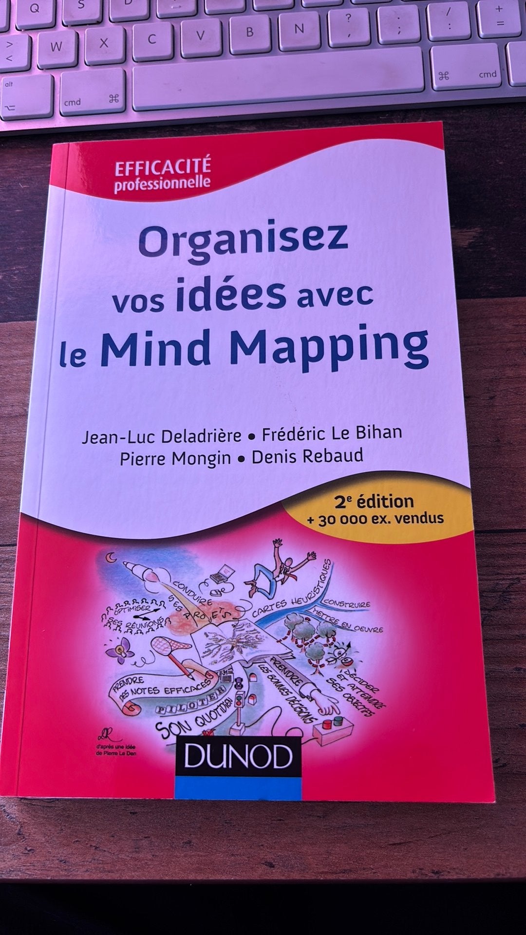 Organisez vos idees avec le mindmapping, Livres, Conseil, Aide & Formation, Enlèvement ou Envoi, Comme neuf