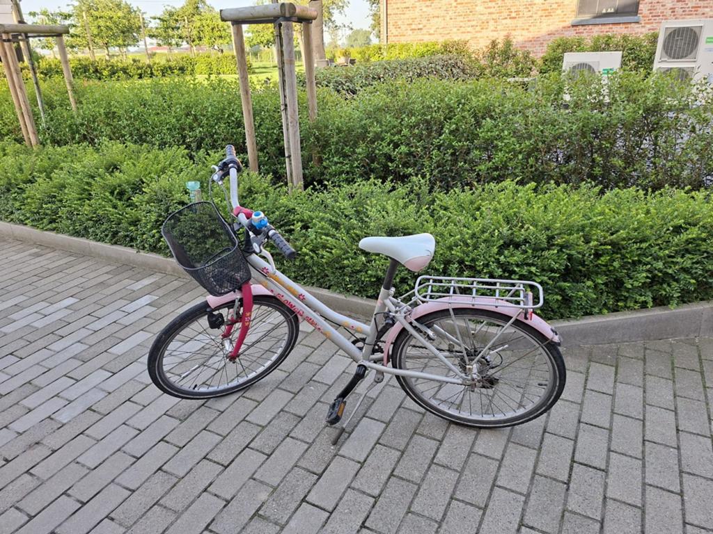 Meisjesfiets 24 inch roze, Fietsen en Brommers, Fietsen | Driewielfietsen, Ophalen, Gebruikt, Velgrem