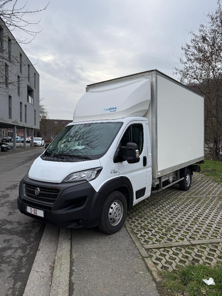 Fiat Ducato 2.3 Multijet - euro 6 - TVA - Dhollandia 750kg, Autos, Fiat, Achat, Entreprise, Boîte manuelle, Blanc