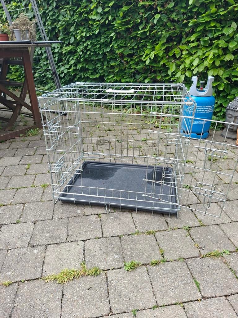 Cage de transport chien, Animaux & Accessoires, Maisons pour chiens