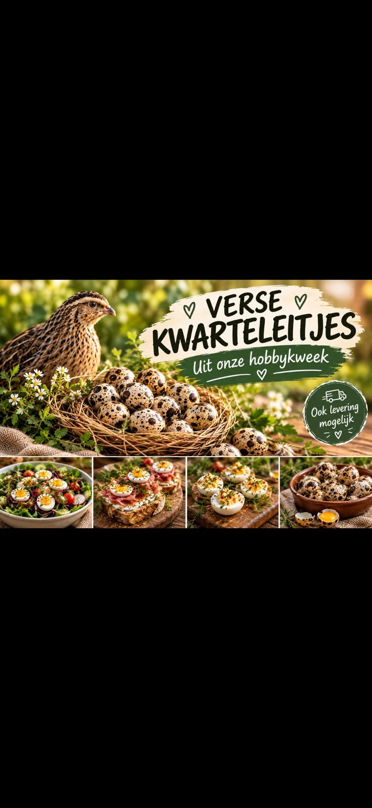 Caille - œuf de caille, Animaux & Accessoires, Volatiles, Sexe inconnu, Autres espèces