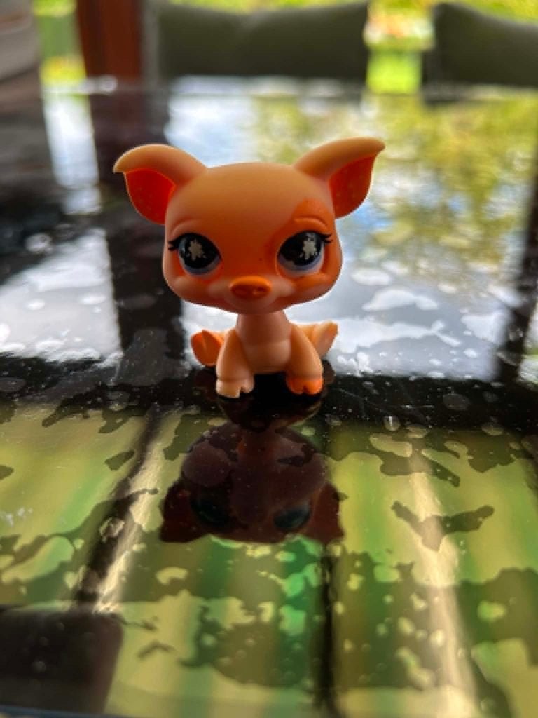 Petshop Cochon rose, Enlèvement, Utilisé, Animal