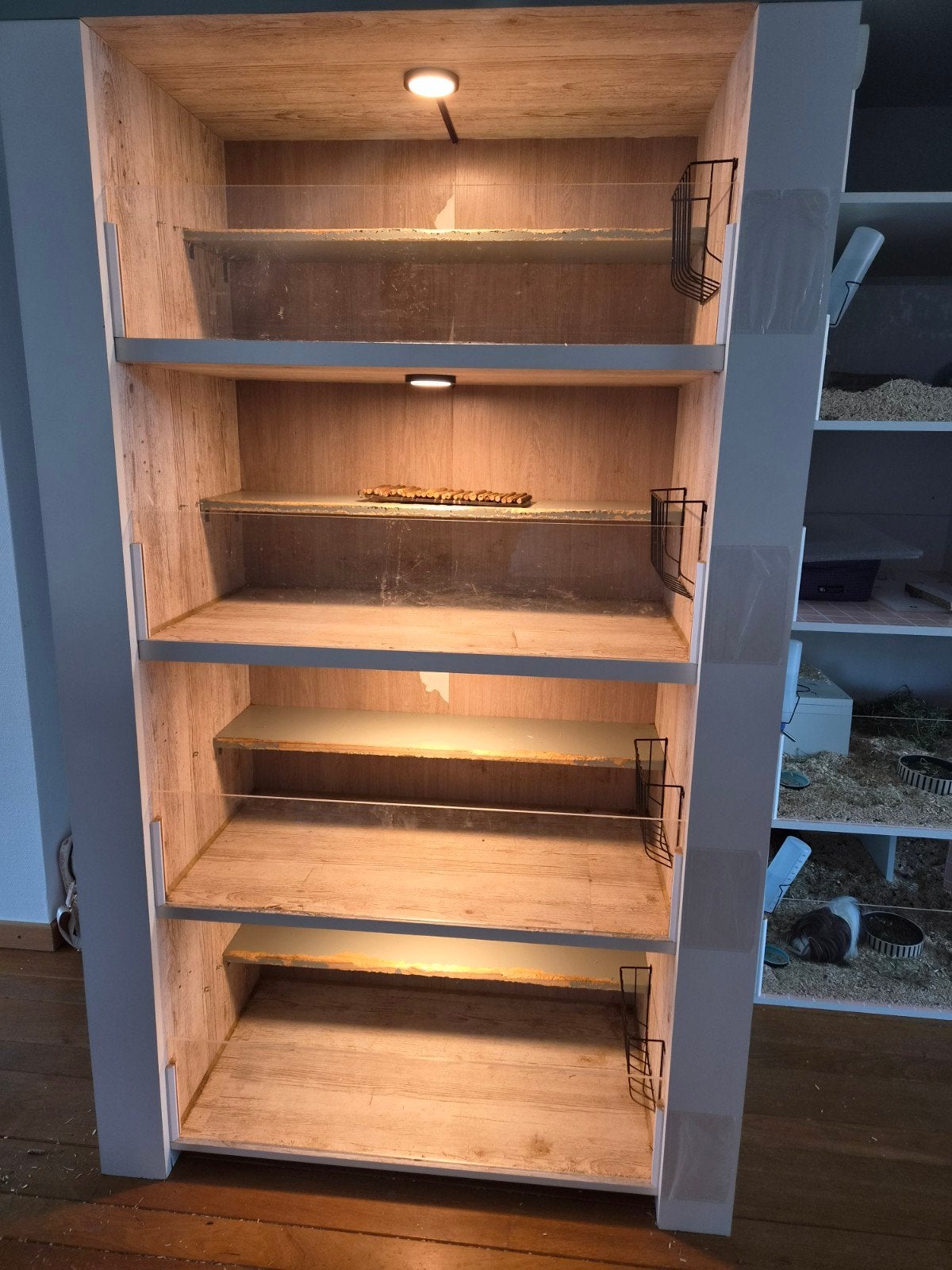 Knaagdierflat, Animaux & Accessoires, Rongeurs & Lapins | Cages & Clapiers, Enlèvement, Niche, Cobaye