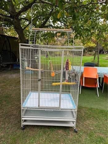 Grand cage pour perroquet, Enlèvement, Utilisé