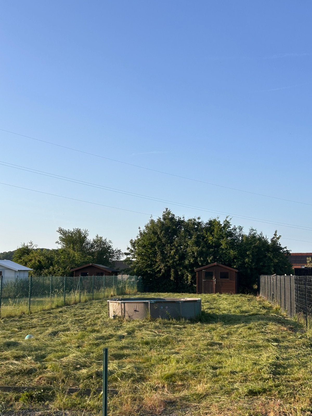 Débroussaillage de jardin et tonde de peulouse, Tuin en Terras, Planten | Bomen, Ophalen