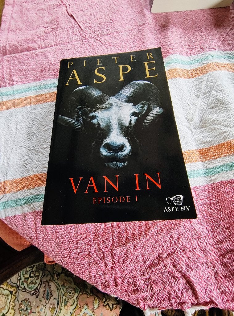 Pieter Aspe, Livres, Thrillers, Enlèvement, Comme neuf, Pieter Aspe, Belgique