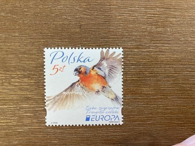 Polen 2019, Mi 5104 Europa CEPT, Enlèvement ou Envoi, Pologne, Non oblitéré