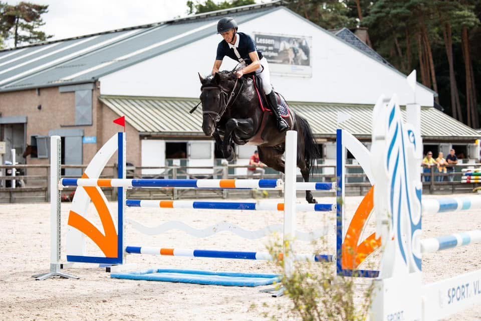 Ruiter zoekt paard, Dieren en Toebehoren, Paarden, Zadelmak