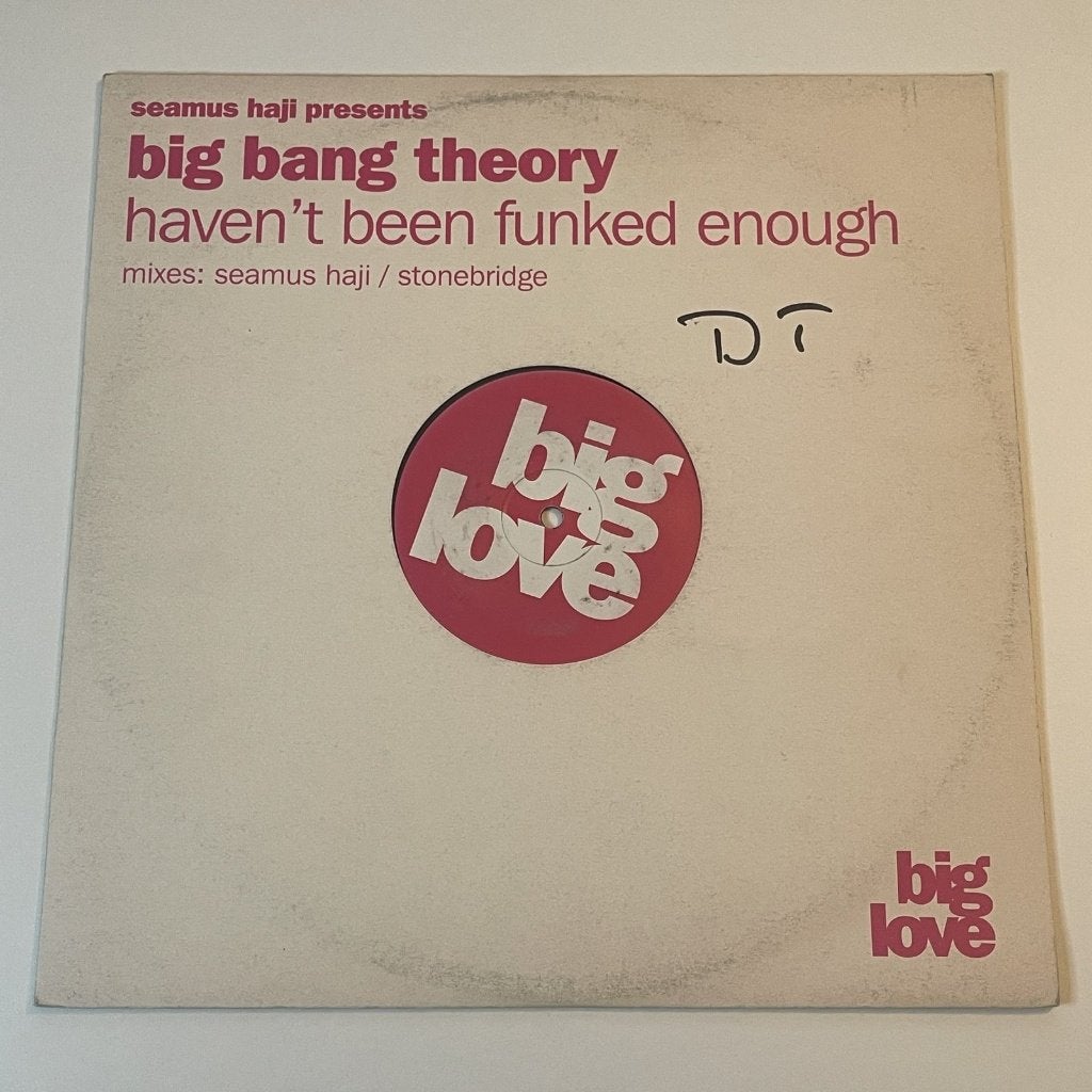 Big Bang Theory - Haven't Been Funked Enough, Enlèvement ou Envoi, Comme neuf, 12 pouces, House