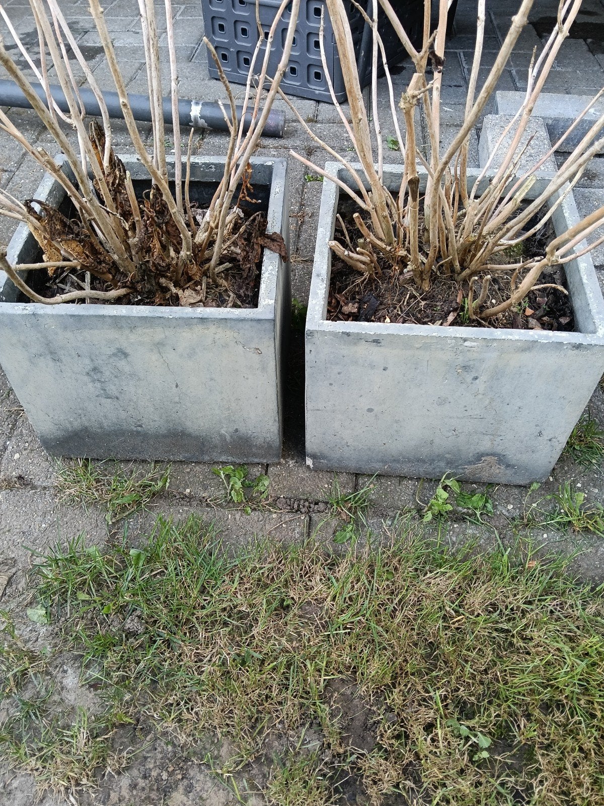 Plantenbakken, Tuin en Terras, Ophalen, Steen